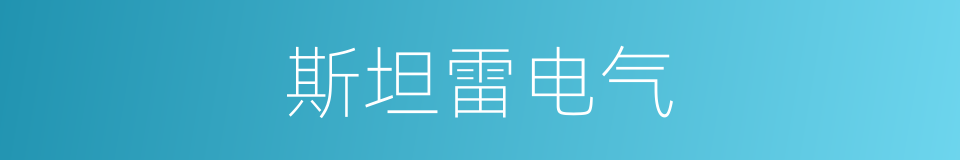 斯坦雷电气的同义词