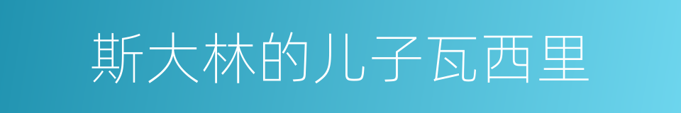 斯大林的儿子瓦西里的同义词