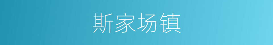 斯家场镇的同义词