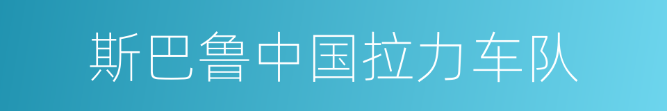 斯巴鲁中国拉力车队的同义词