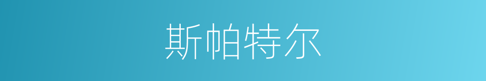 斯帕特尔的同义词