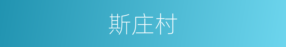 斯庄村的同义词