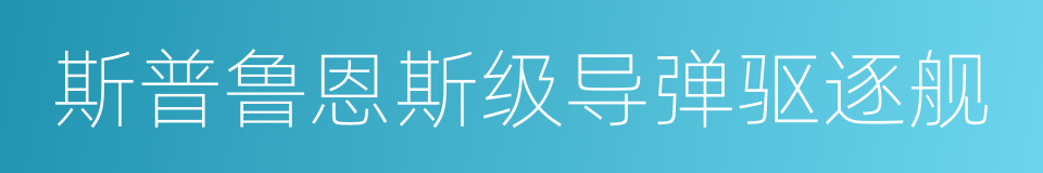 斯普鲁恩斯级导弹驱逐舰的同义词