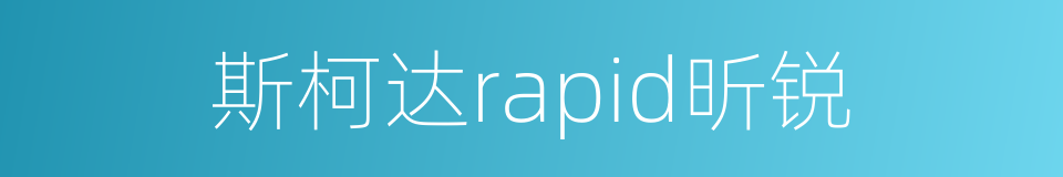 斯柯达rapid昕锐的同义词