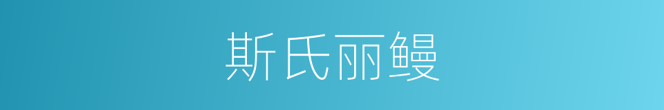 斯氏丽鳗的同义词