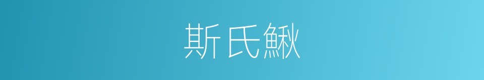 斯氏鰍的同義詞