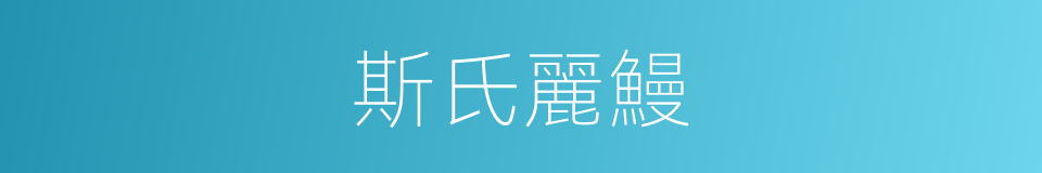斯氏麗鰻的同義詞
