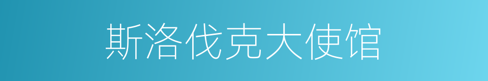 斯洛伐克大使馆的同义词