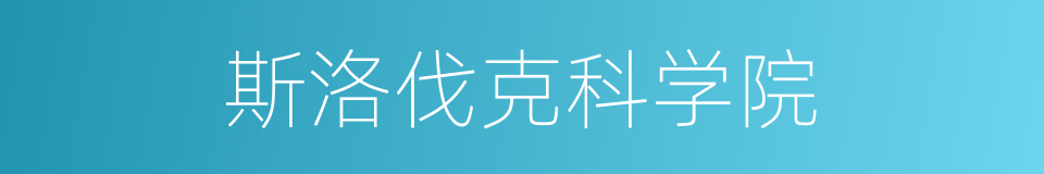 斯洛伐克科学院的同义词