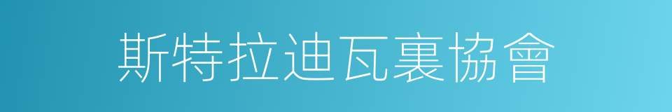 斯特拉迪瓦裏協會的同義詞