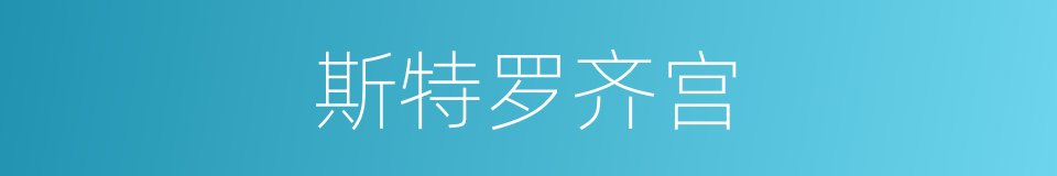 斯特罗齐宫的同义词