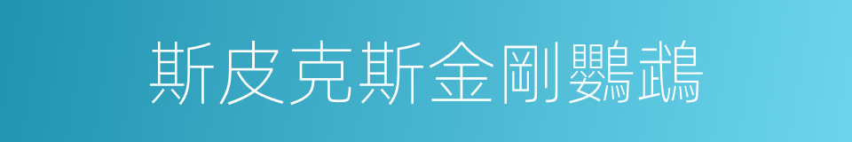 斯皮克斯金剛鸚鵡的同義詞