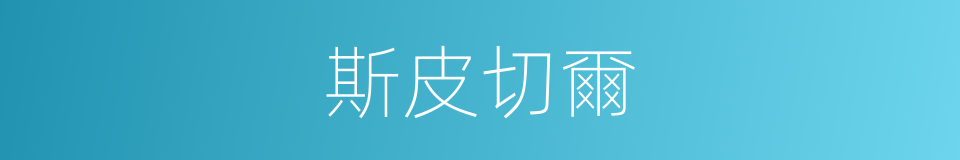斯皮切爾的同義詞
