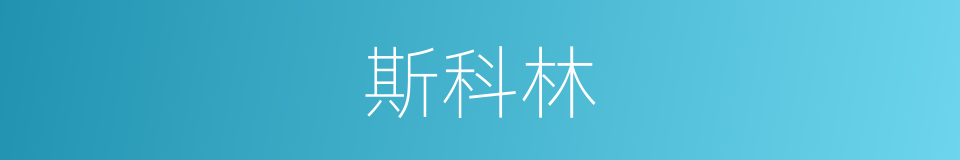 斯科林的同义词