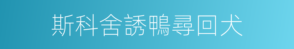 斯科舍誘鴨尋回犬的同義詞
