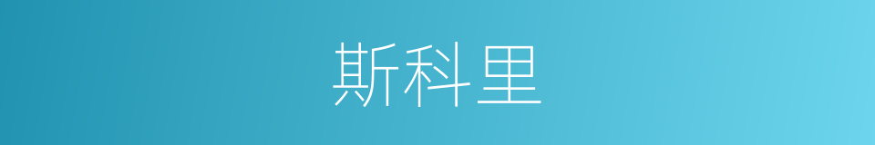 斯科里的同义词