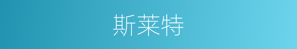 斯莱特的同义词