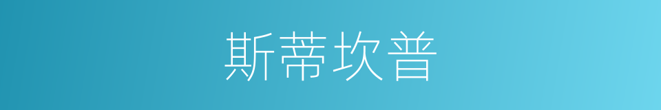 斯蒂坎普的同义词