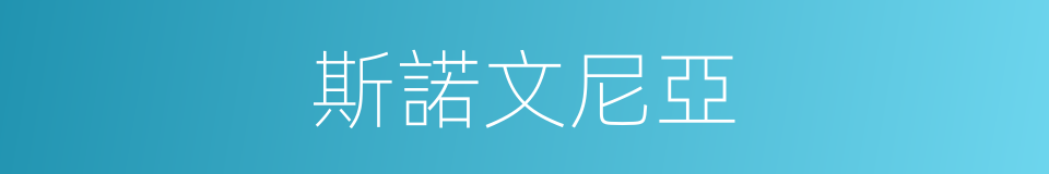 斯諾文尼亞的同義詞