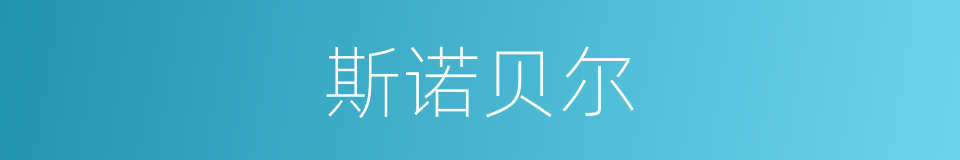 斯诺贝尔的同义词