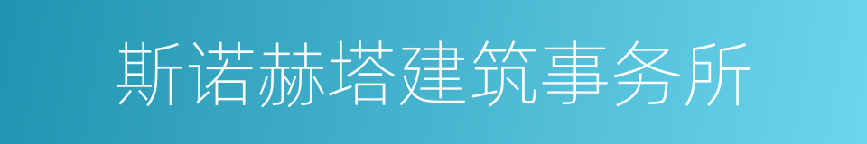 斯诺赫塔建筑事务所的同义词