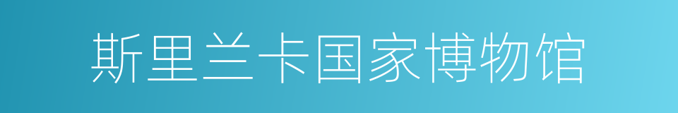 斯里兰卡国家博物馆的同义词