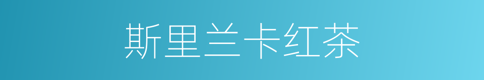 斯里兰卡红茶的同义词