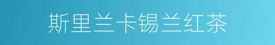 斯里兰卡锡兰红茶的同义词