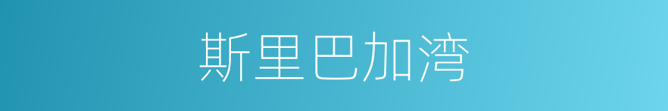 斯里巴加湾的同义词