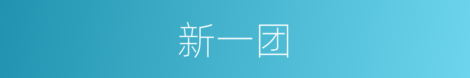 新一团的同义词