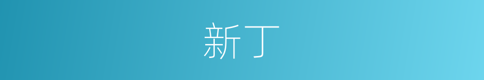 新丁的意思
