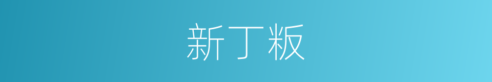 新丁粄的同义词