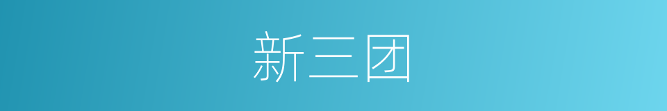 新三团的同义词