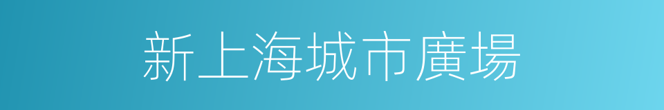 新上海城市廣場的同義詞