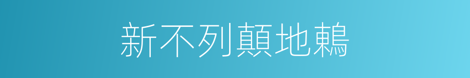 新不列顛地鶇的同義詞