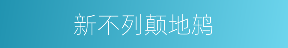 新不列颠地鸫的同义词
