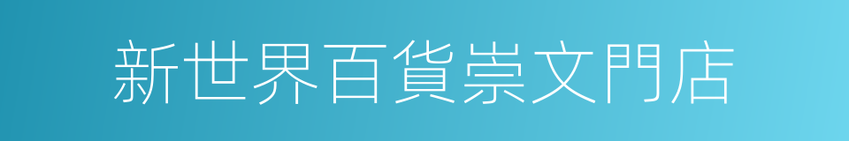 新世界百貨崇文門店的同義詞