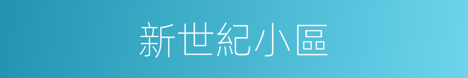 新世紀小區的同義詞