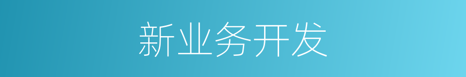 新业务开发的同义词