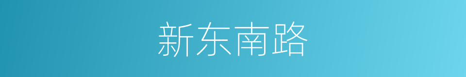 新东南路的同义词