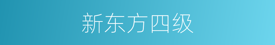 新东方四级的同义词