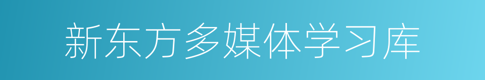 新东方多媒体学习库的同义词