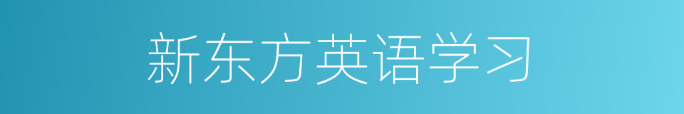 新东方英语学习的同义词