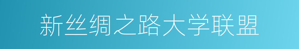 新丝绸之路大学联盟的同义词