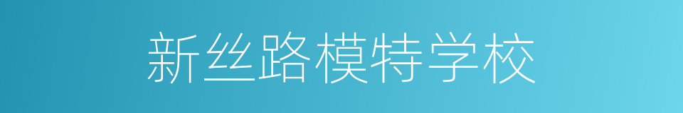 新丝路模特学校的同义词