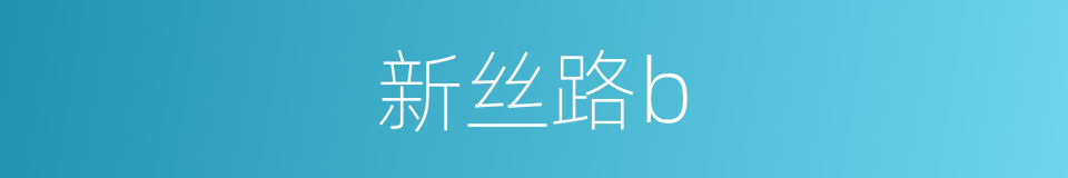 新丝路b的同义词