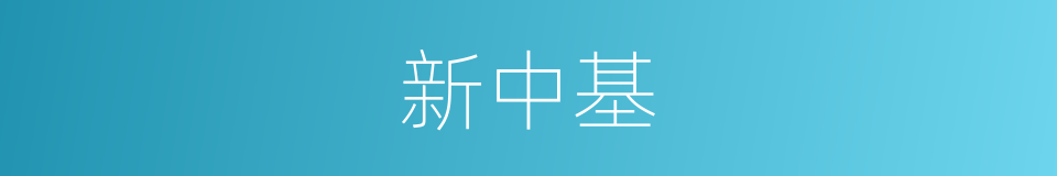 新中基的同义词