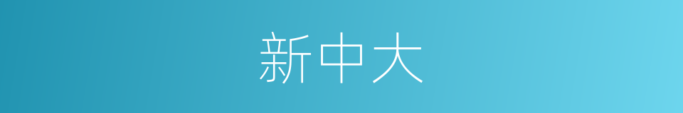 新中大的同义词