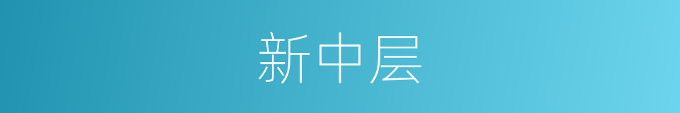 新中层的同义词