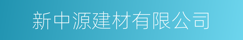 新中源建材有限公司的同义词